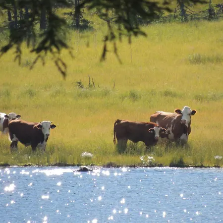 St. Andrae Im Lungau - Ruhe Und Sankt Andrä im Lungau