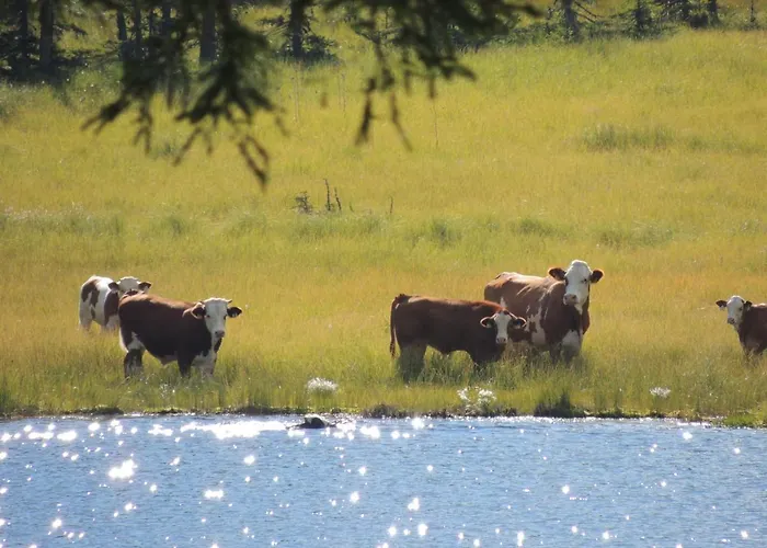 St. Andrä Im Lungau - Ruhe Und Sankt Andrä im Lungau